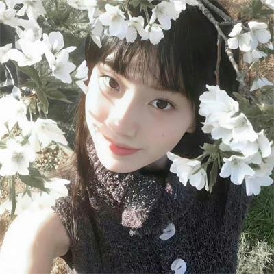 秦时明月之夜尽天明